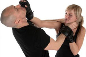 Phoenix Krav Maga Fitness School