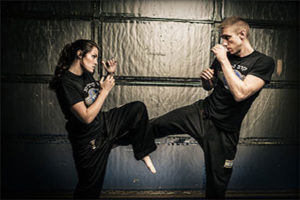 Phoenix mixed martial arts