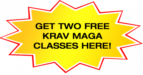 Get 2 Free Krav Maga Classes