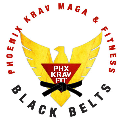 logo-black-belts