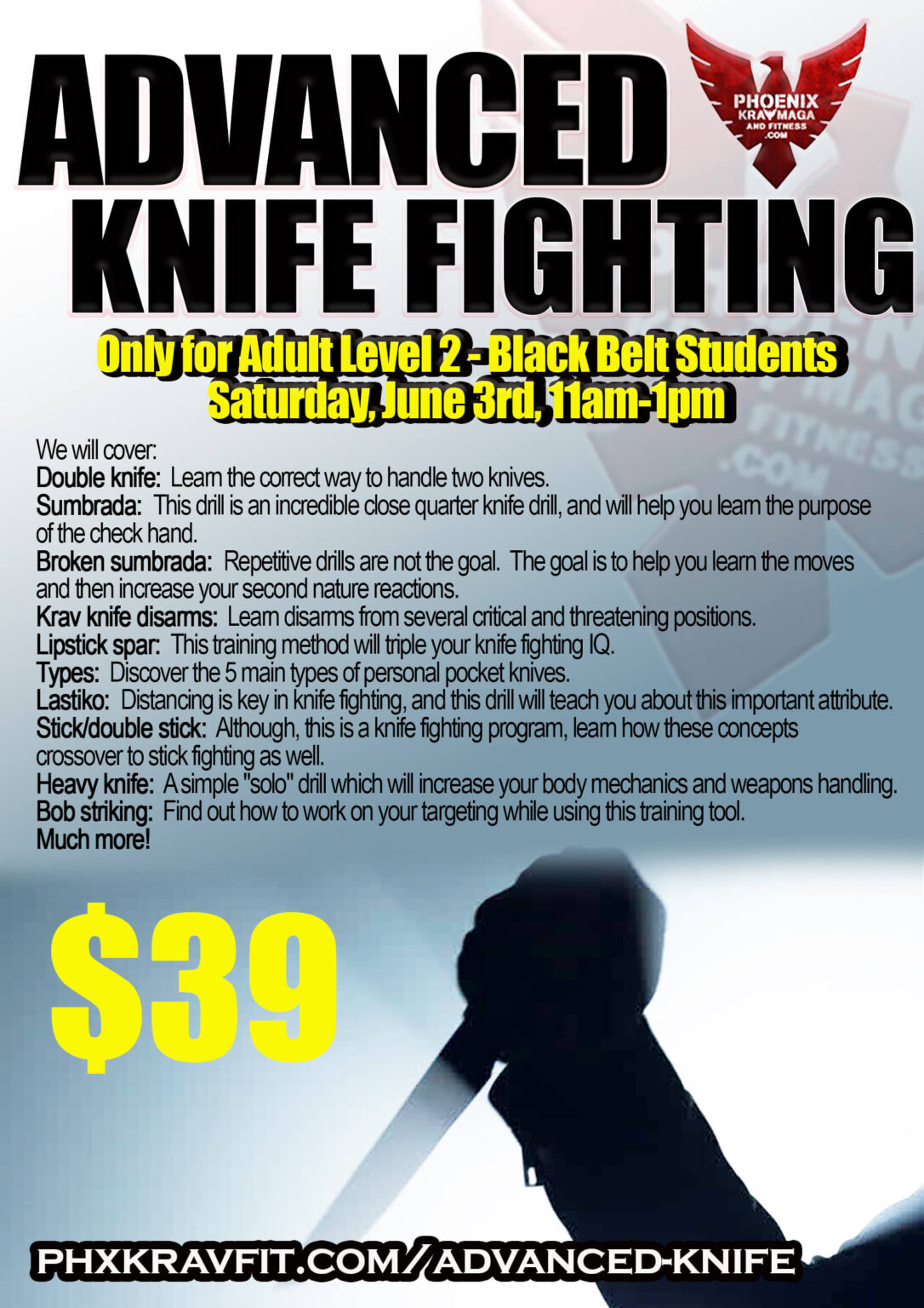 Phoenix Krav Maga Advanced Knife Fighting / Self Defense Seminar